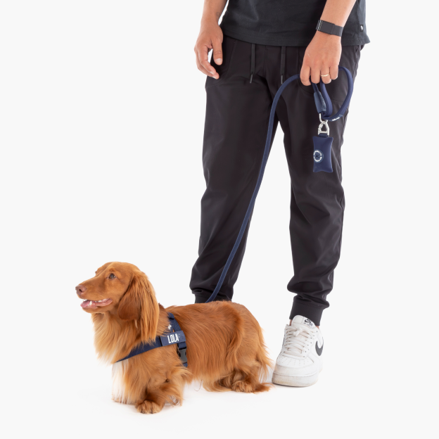 Walk Essentials - Navy Blue