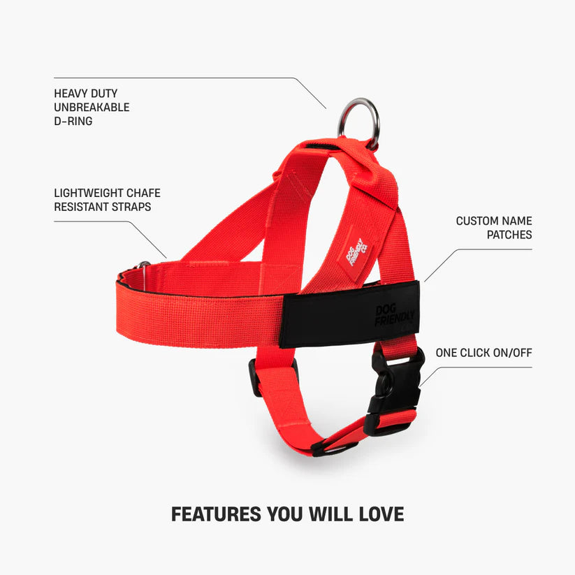 Dog Harness + FREE D-ring