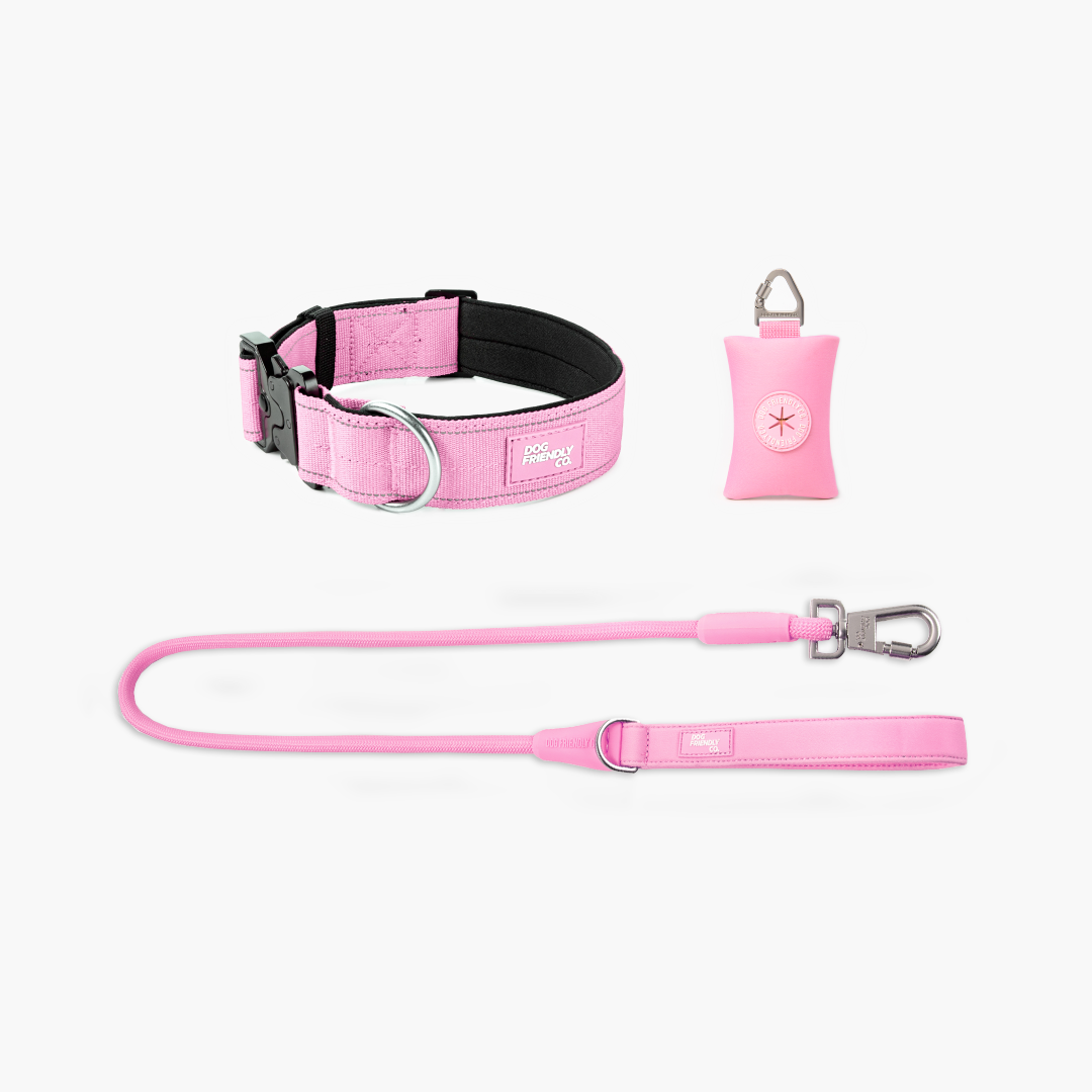 Collar Walk Set - Pink