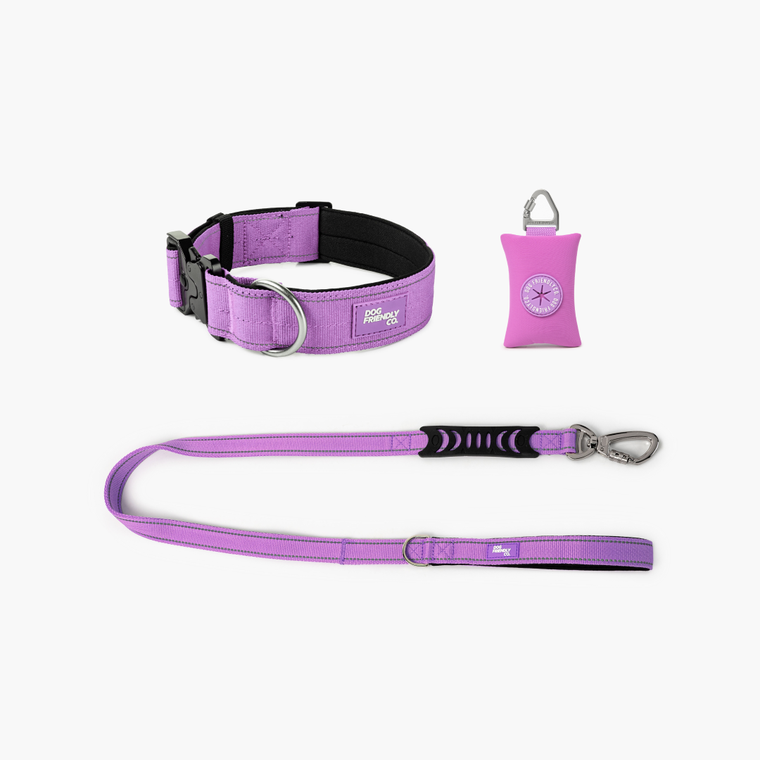 Collar Walk Set - Purple