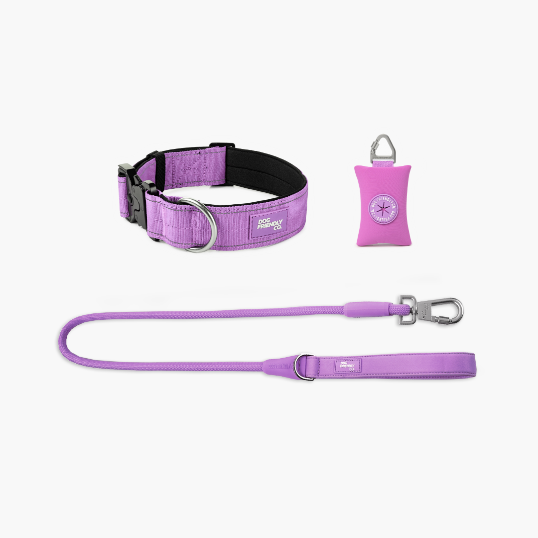 Collar Walk Set - Purple