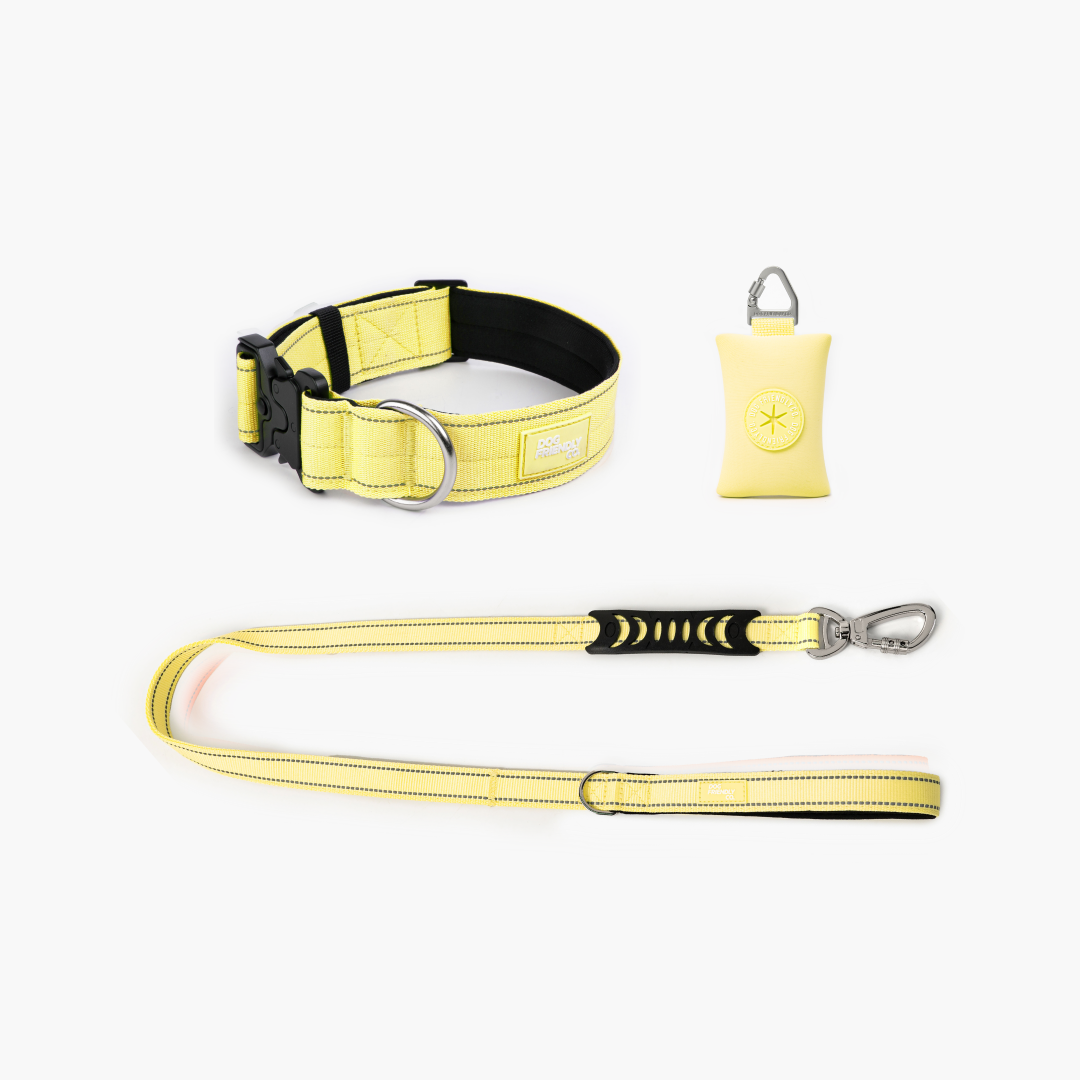 Collar Walk Set - Yellow