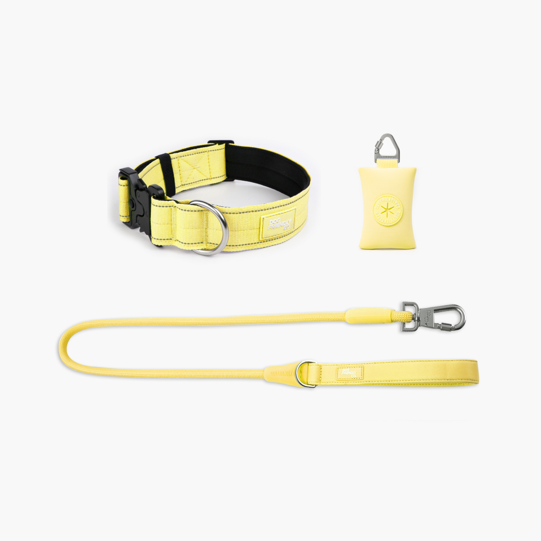 Collar Walk Set - Yellow