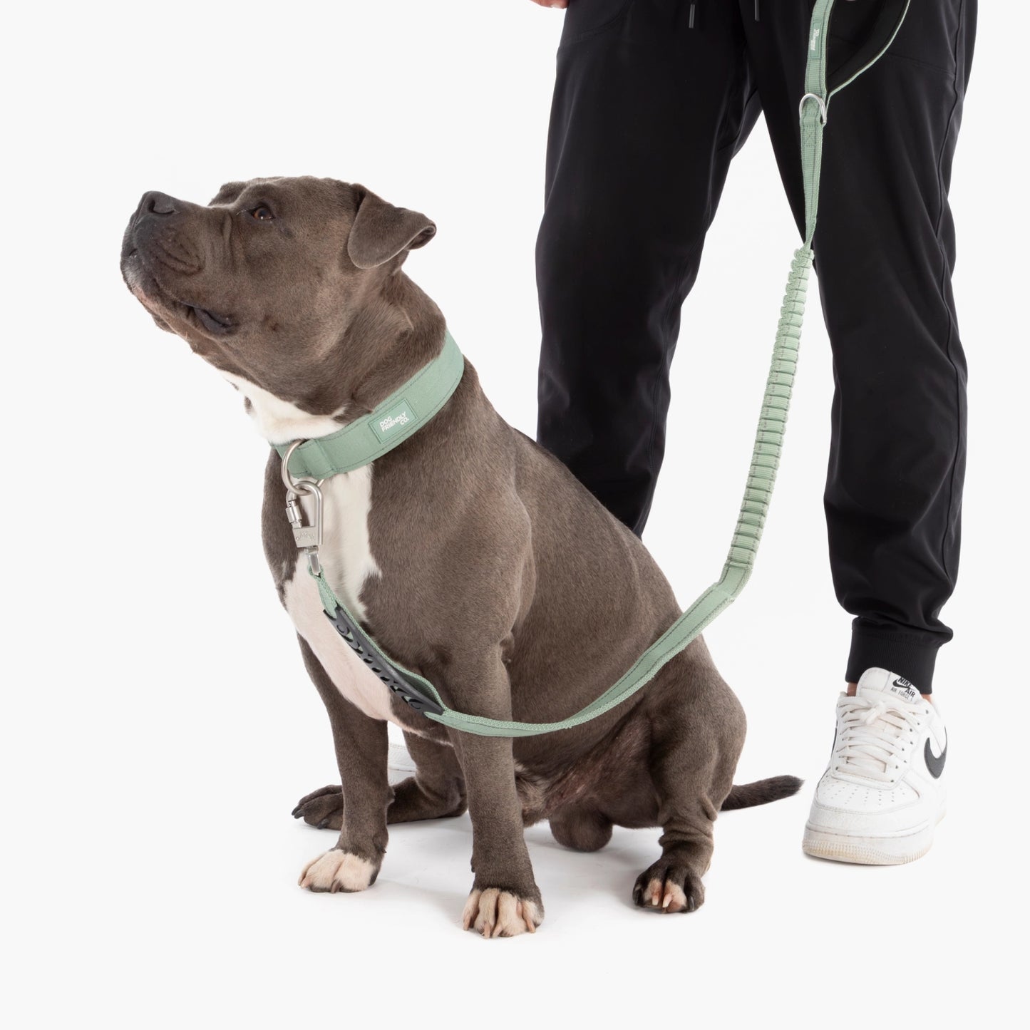 Collar Walk Set - Khaki
