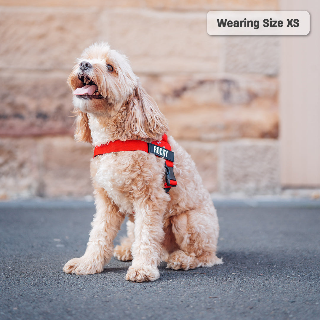 Dog Harness - Red