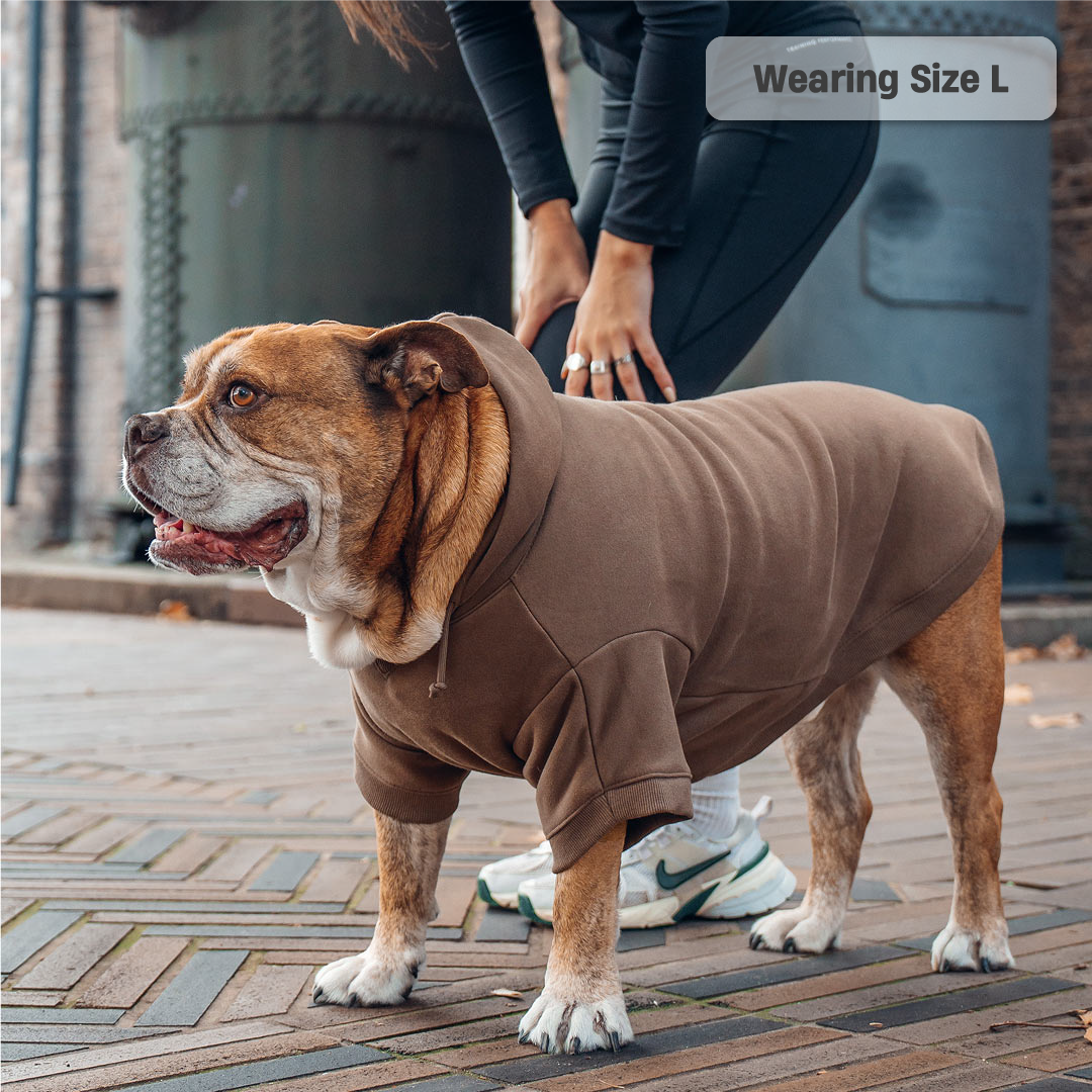 Winter Dog Hoodies - Brown