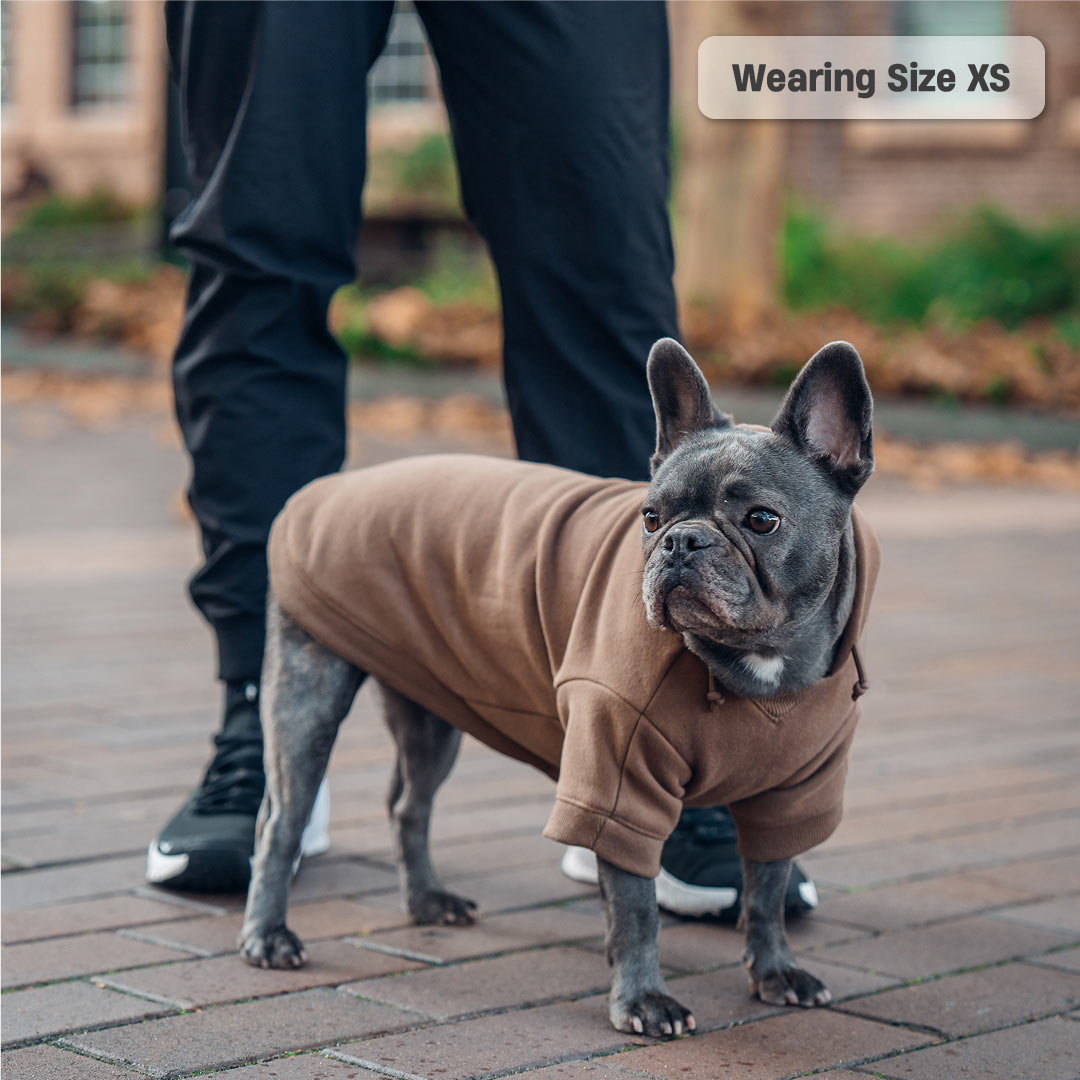 Winter Dog Hoodies - Brown