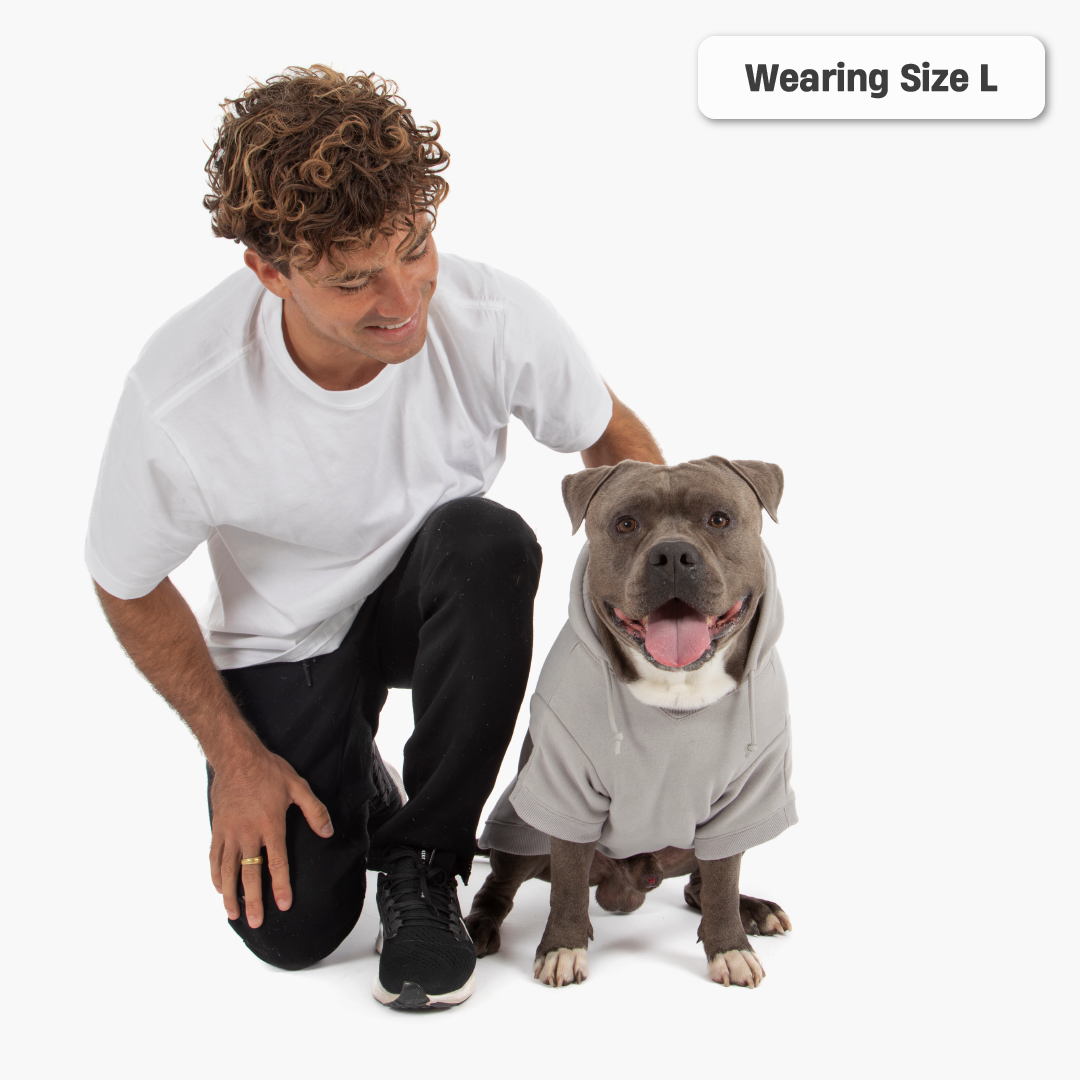 Winter Dog Hoodies - Grey