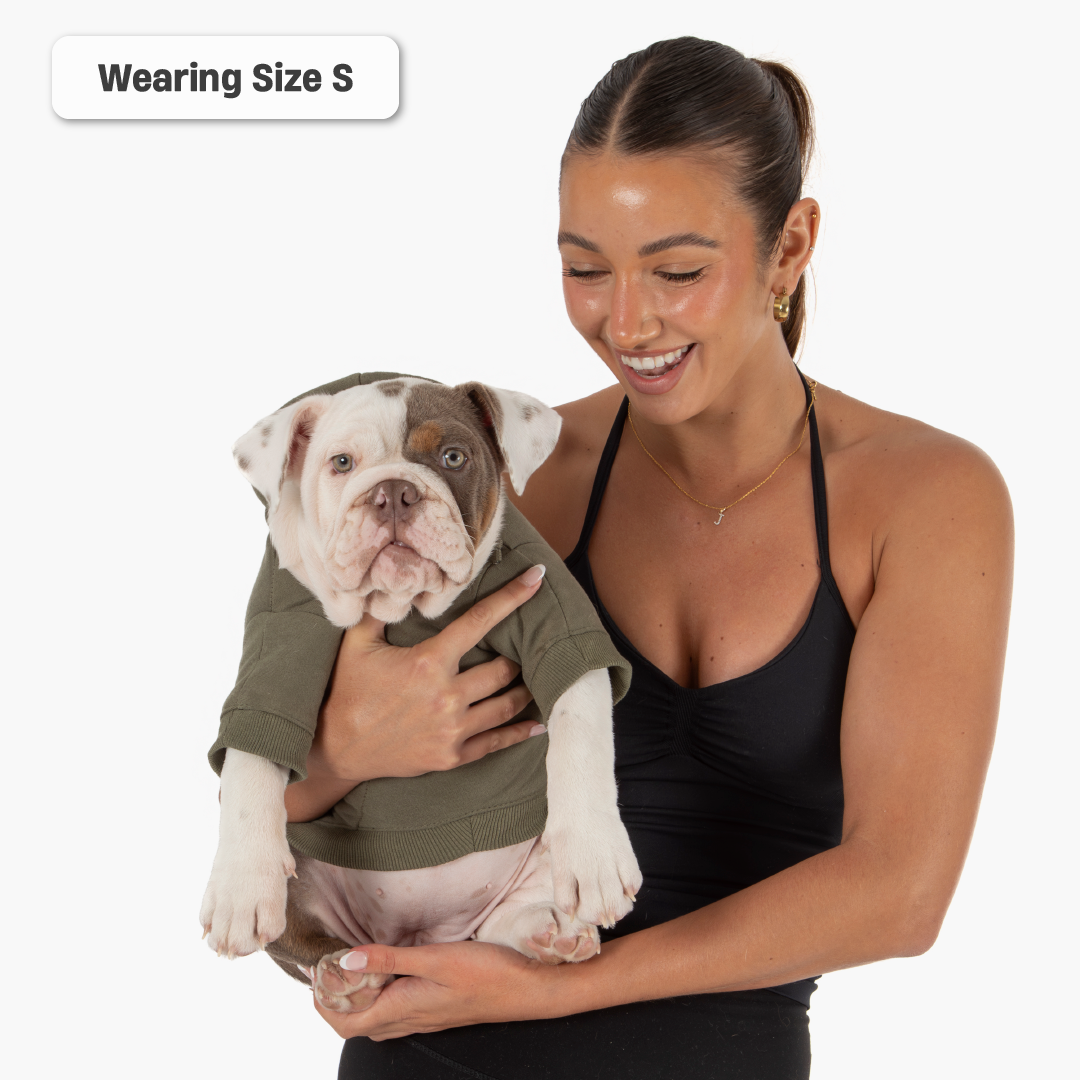 Winter Dog Hoodies - Khaki