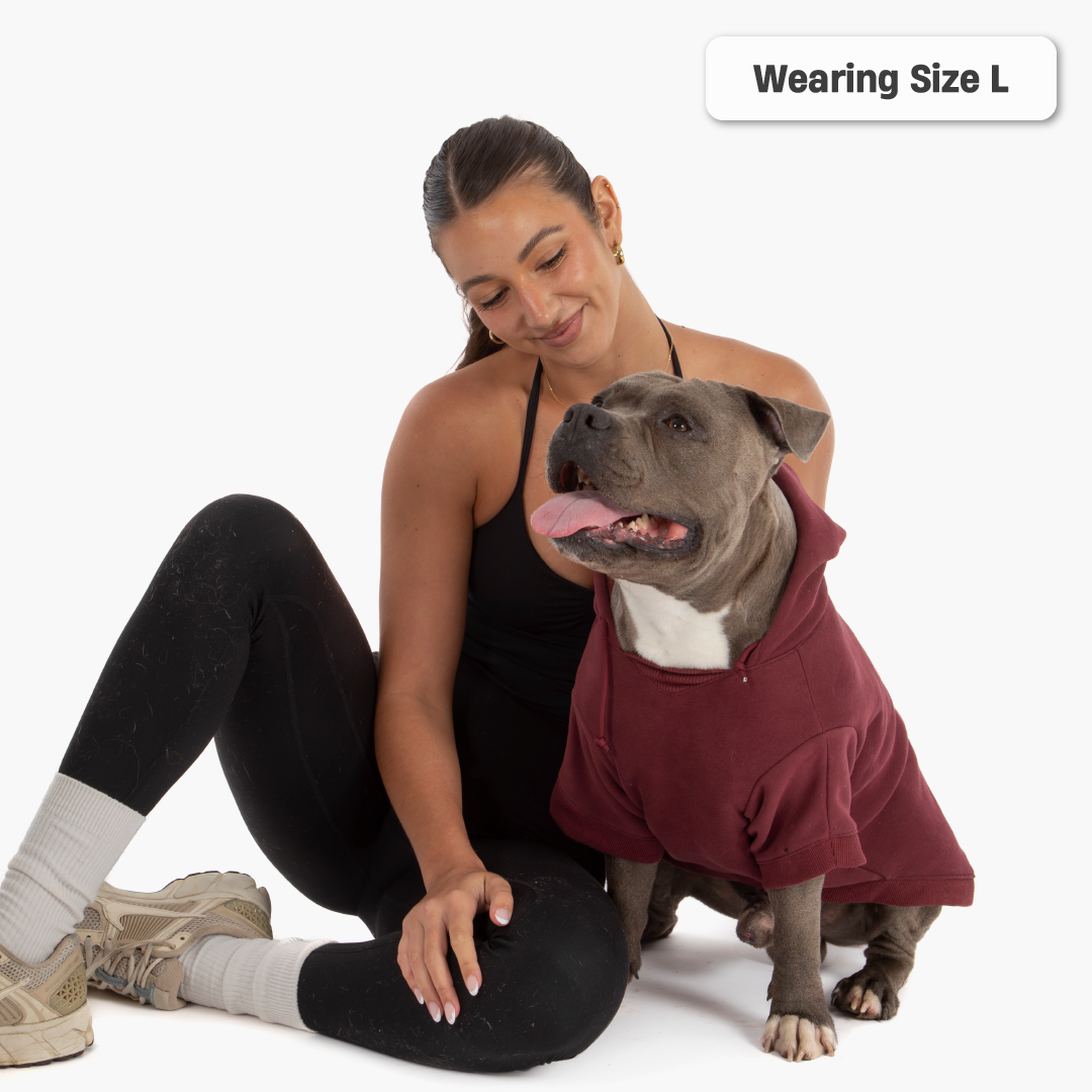 Winter Dog Hoodies - Maroon