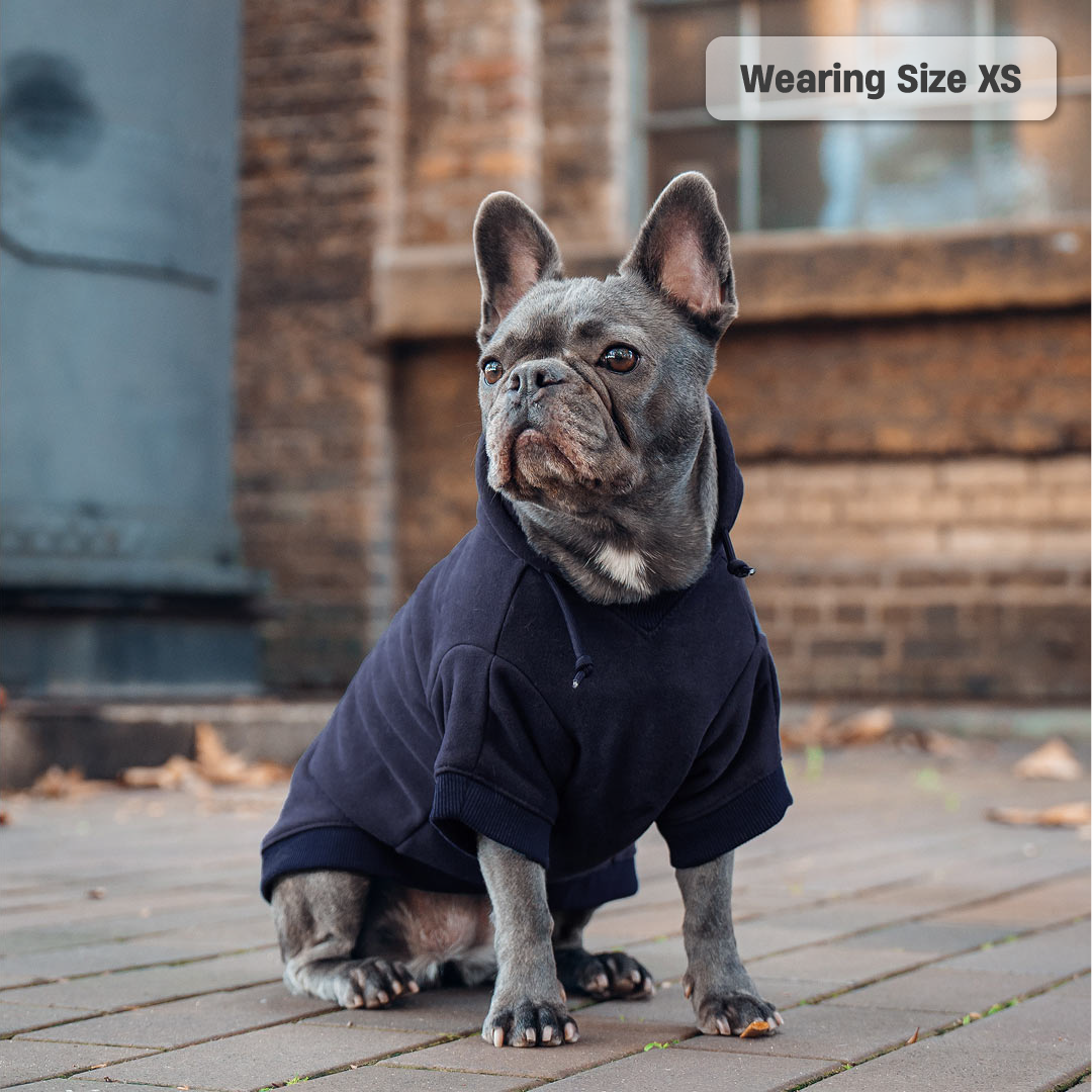 Winter Dog Hoodies - Navy Blue