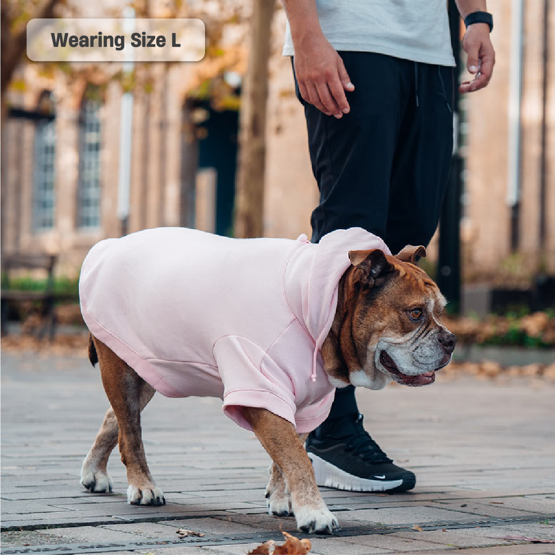 Winter Dog Hoodies - Pink