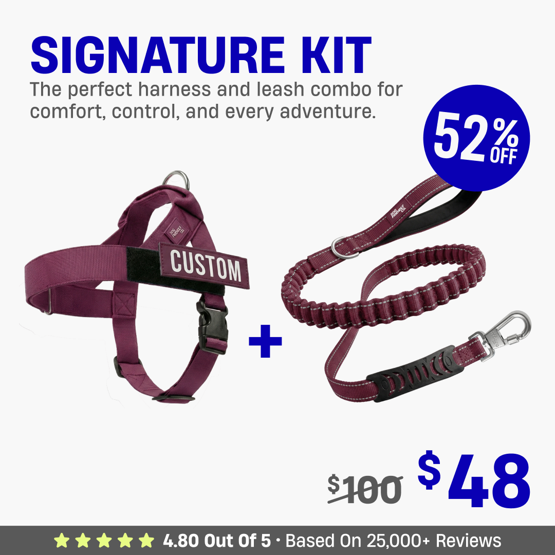 Signature Kit - 52% OFF