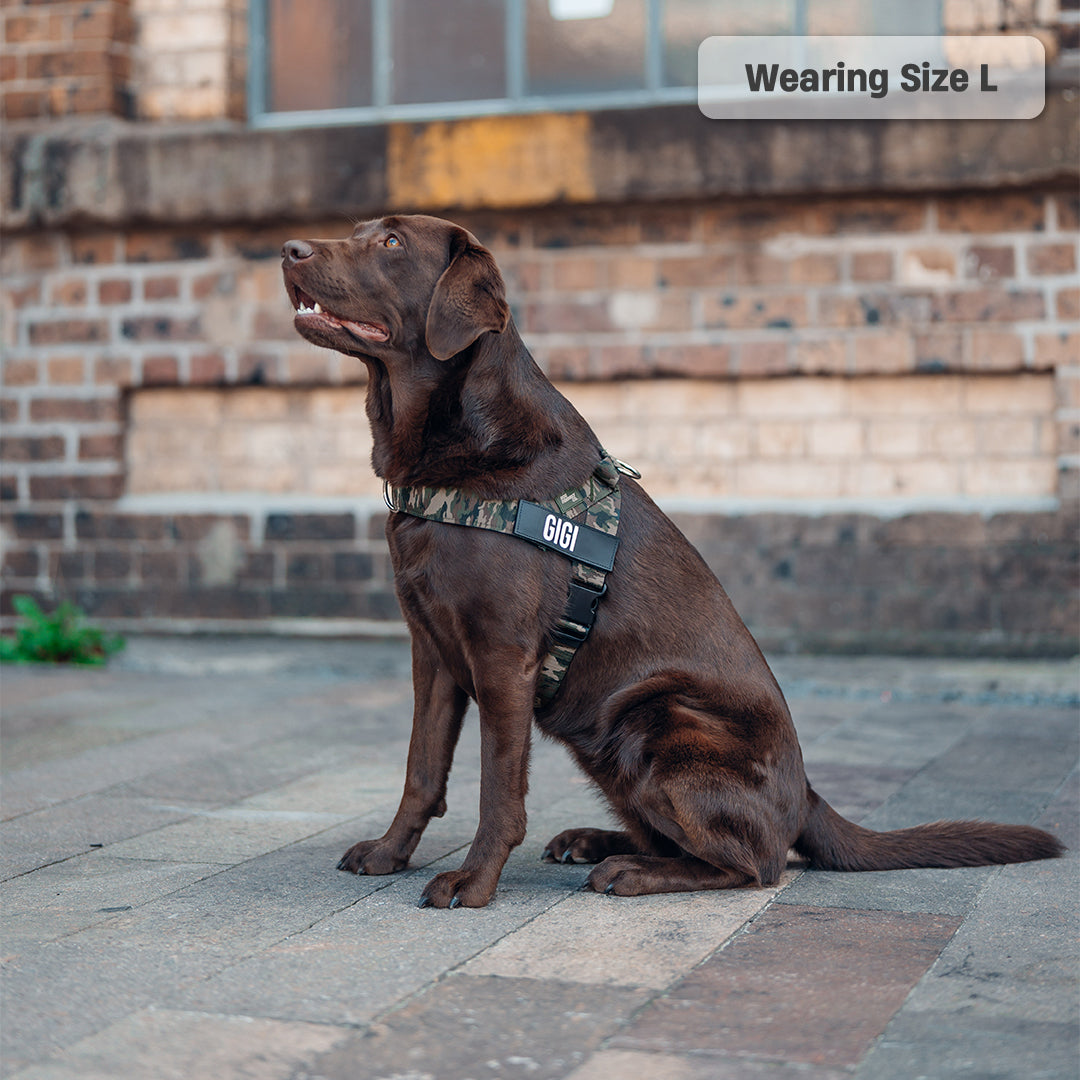 Walk Essentials - Green Camo