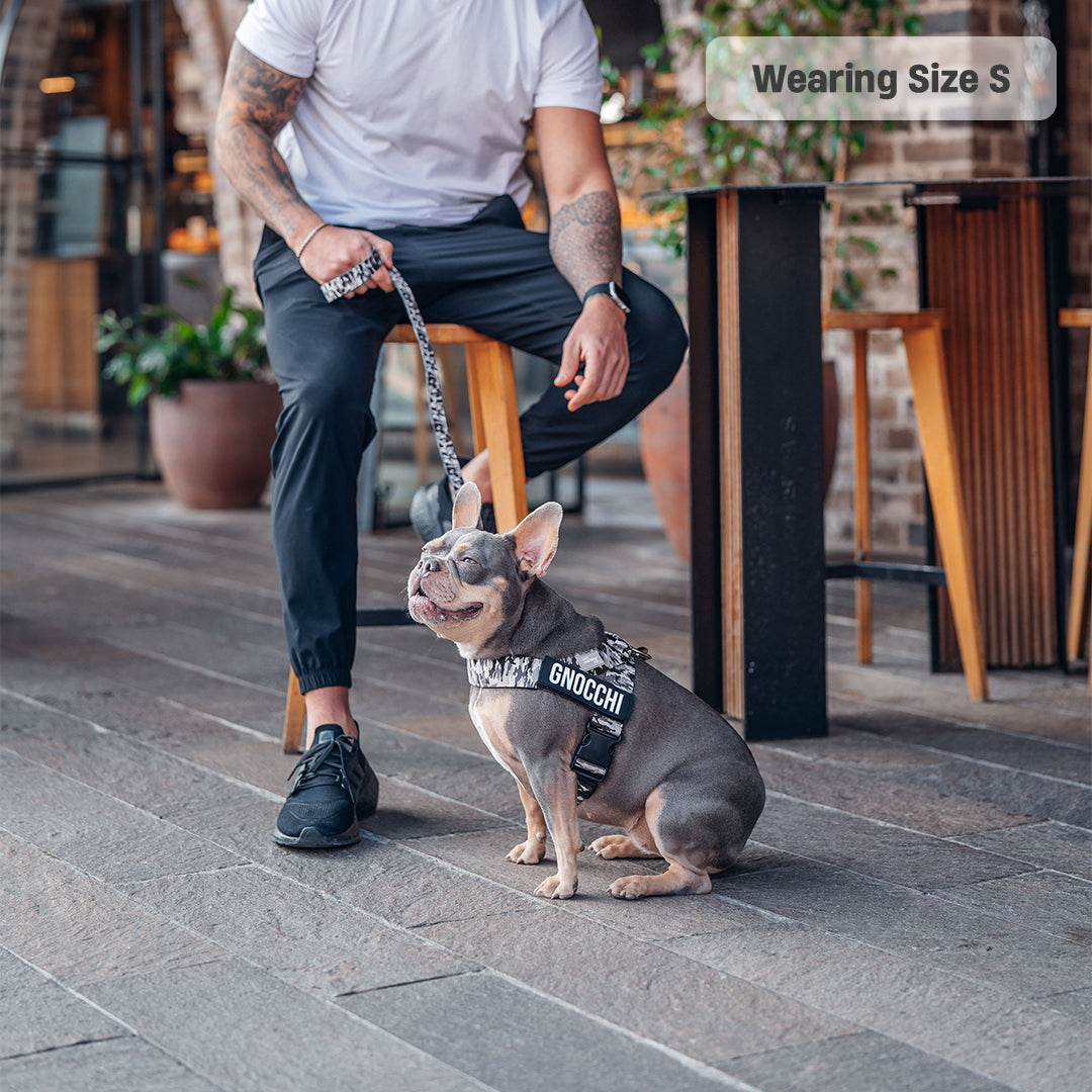 Walk Essentials - Grey Camo