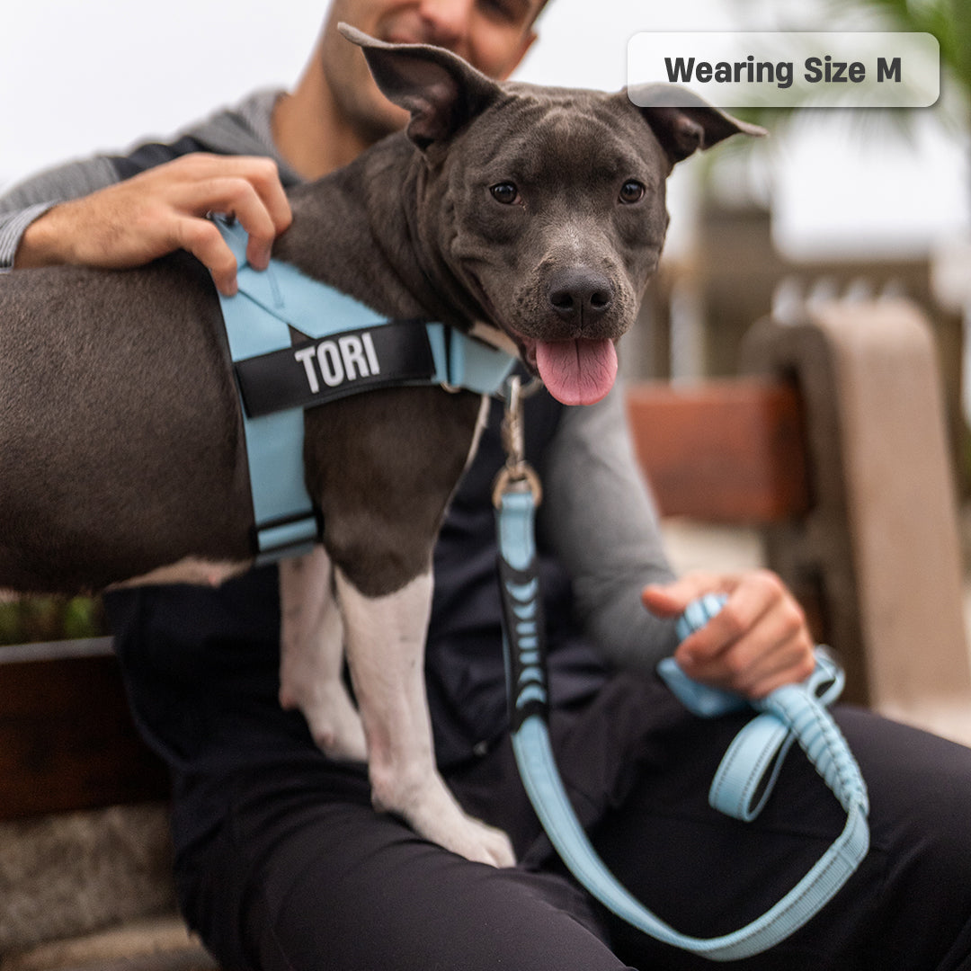 Walk Essentials - Sky Blue