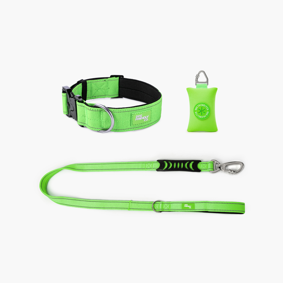 Collar Walk Set - Neon Green