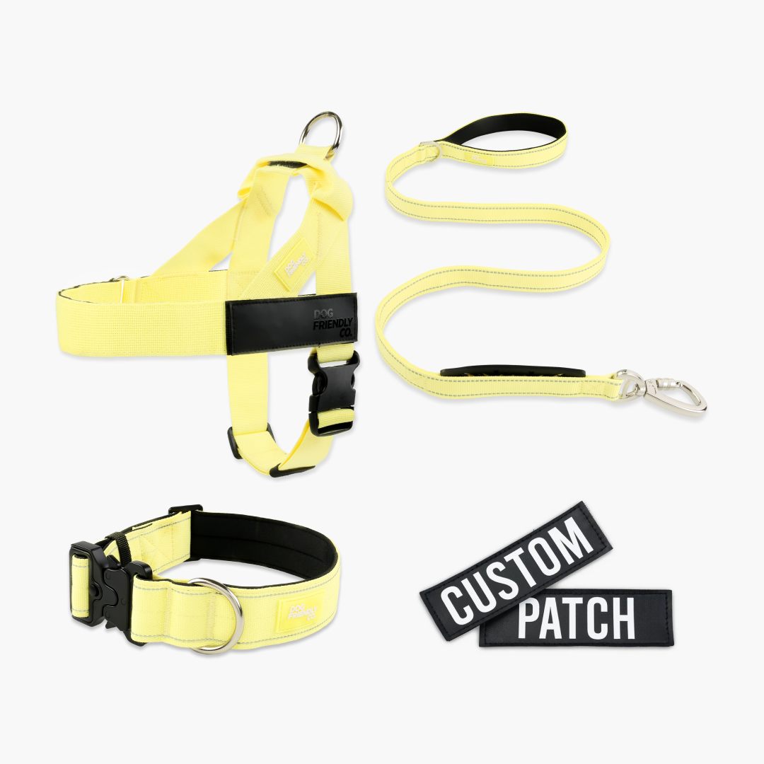 Dog Lovers Pack - Yellow