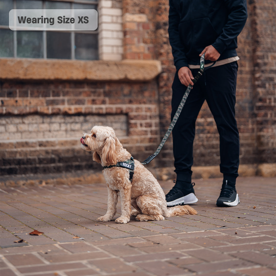 Signature Kit - Green Camo