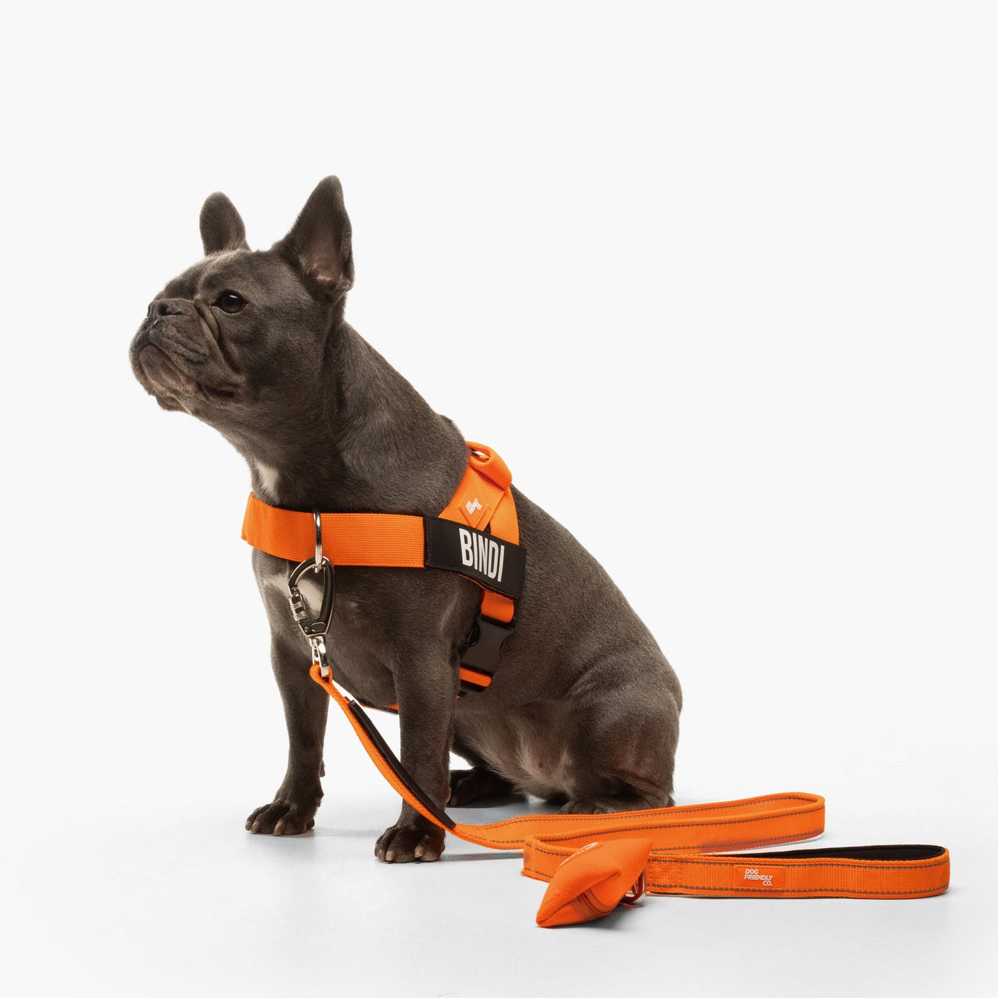 Dog Harness - Orange