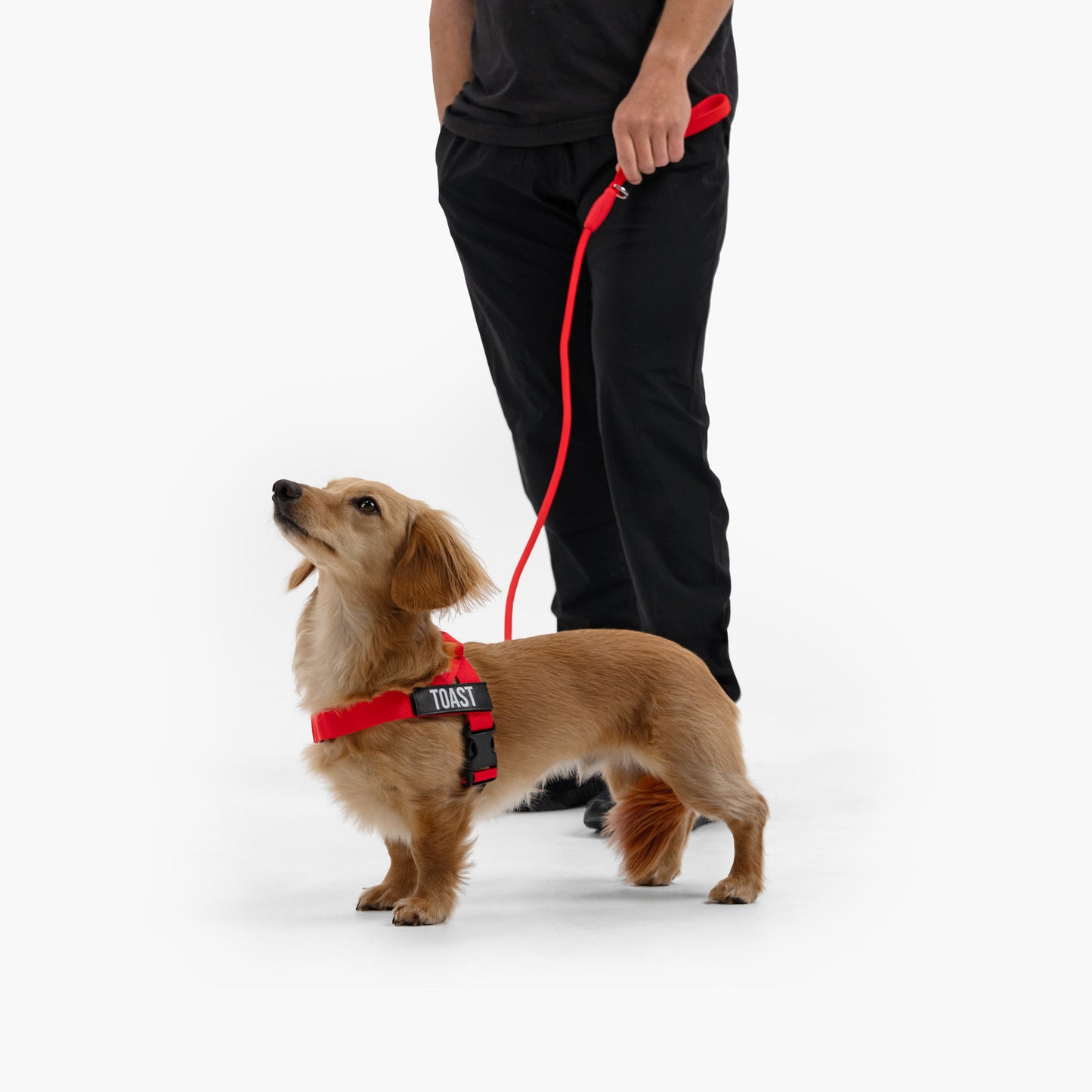 Dog Harness - Red