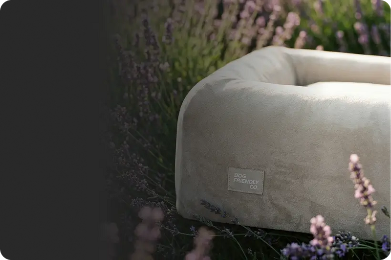 Infused with Calming Lavender Scent