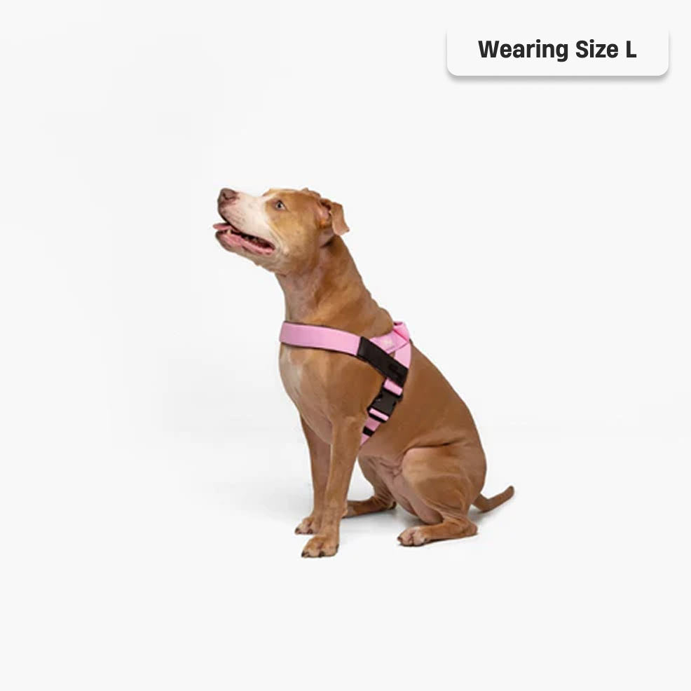 Dog Harness - Pink
