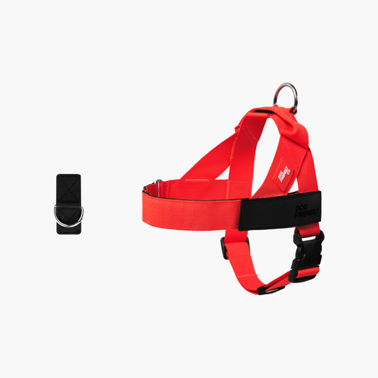Dog Harness + FREE D-ring