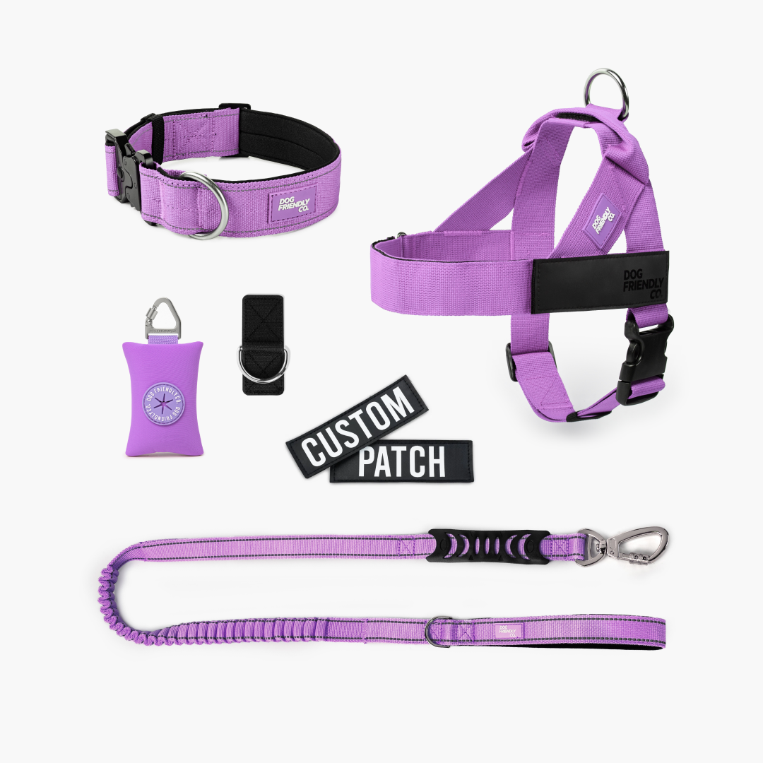 Walk Essentials - Purple