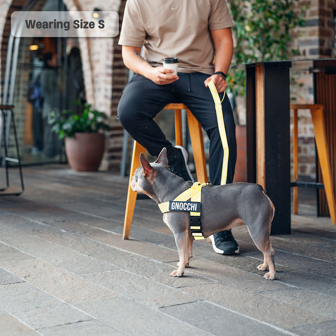 Signature Kit - Yellow