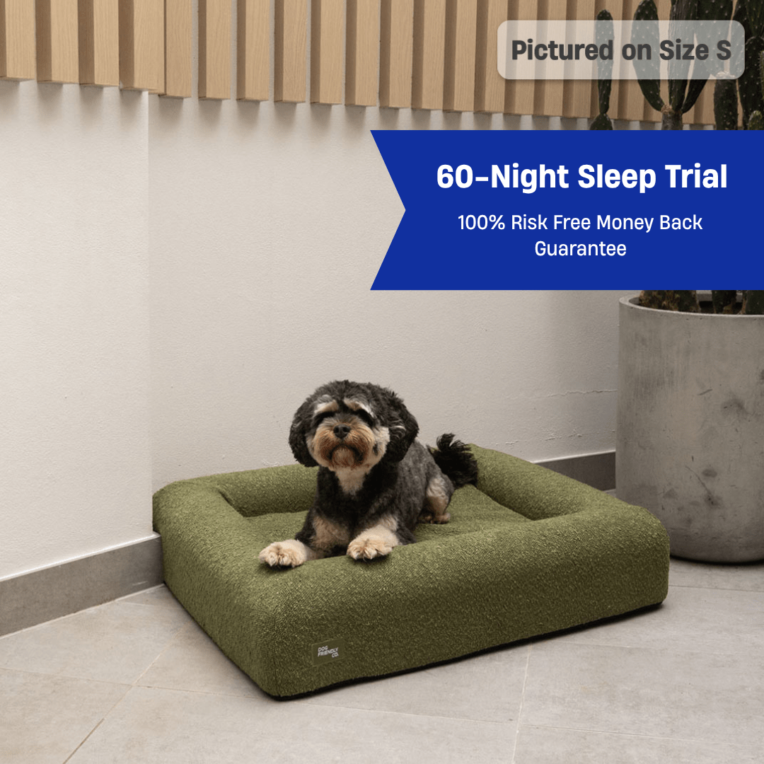 Premium Orthopedic Memory Foam Dog Bed - Green Bouclé (Small)