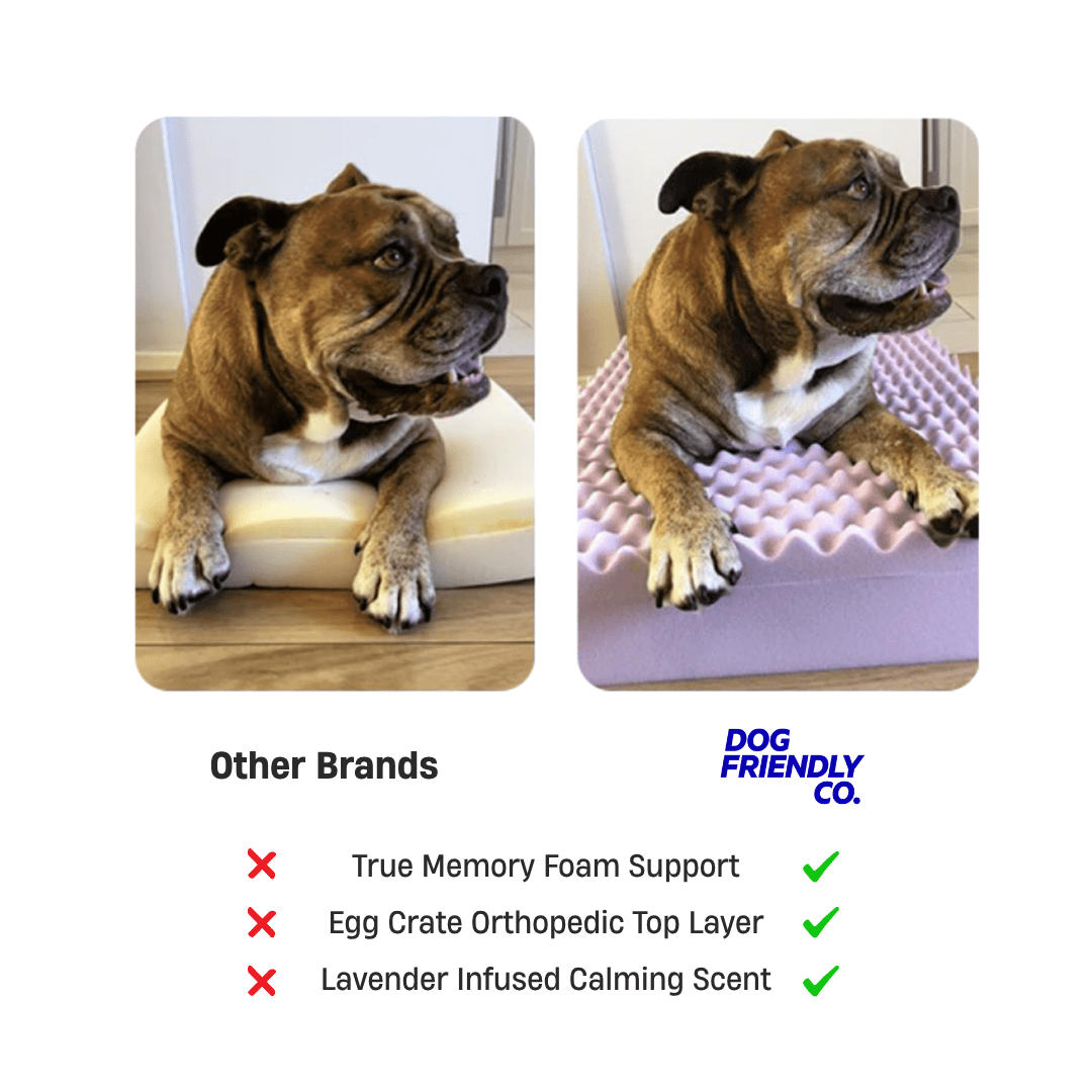 Premium Orthopedic Memory Foam Dog Bed - Grey (Large)