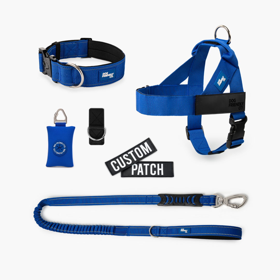 Ultimate No-Pull Bundle