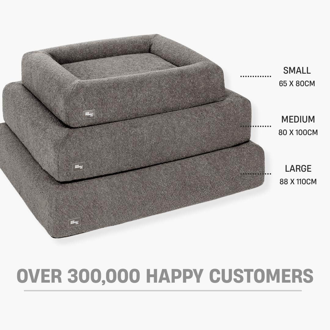 Premium Orthopedic Memory Foam Dog Bed - Brown Bouclé (Large)