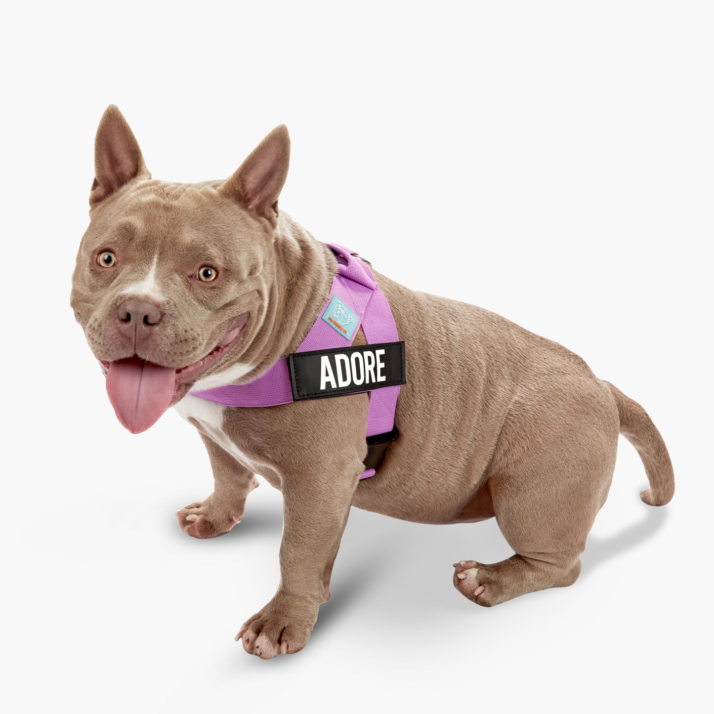 Ultimate No-Pull Bundle