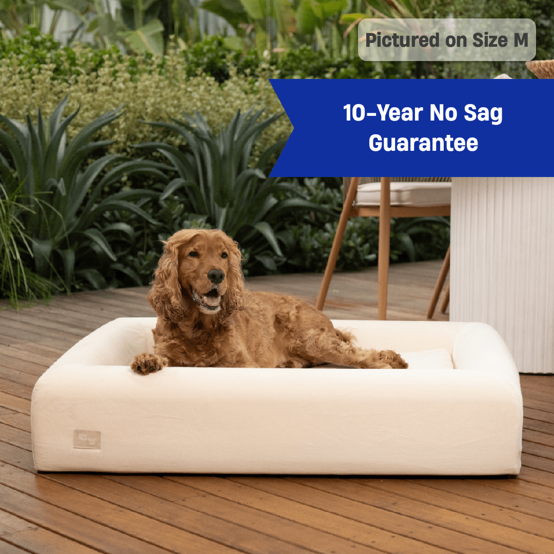 Premium Orthopedic Memory Foam Dog Bed - Beige (Medium)