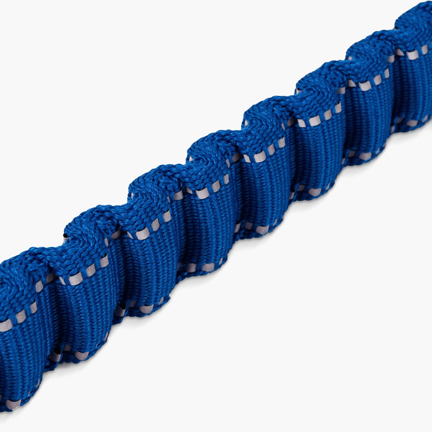 Bungee Dog Leash - Classic Blue