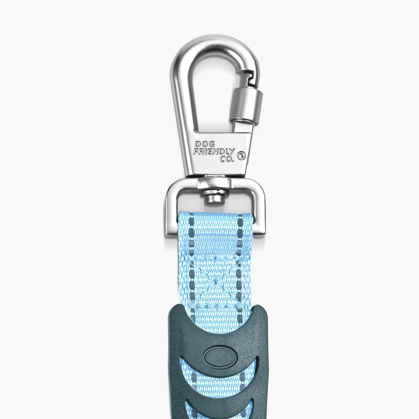 Bungee Dog Leash - Sky Blue