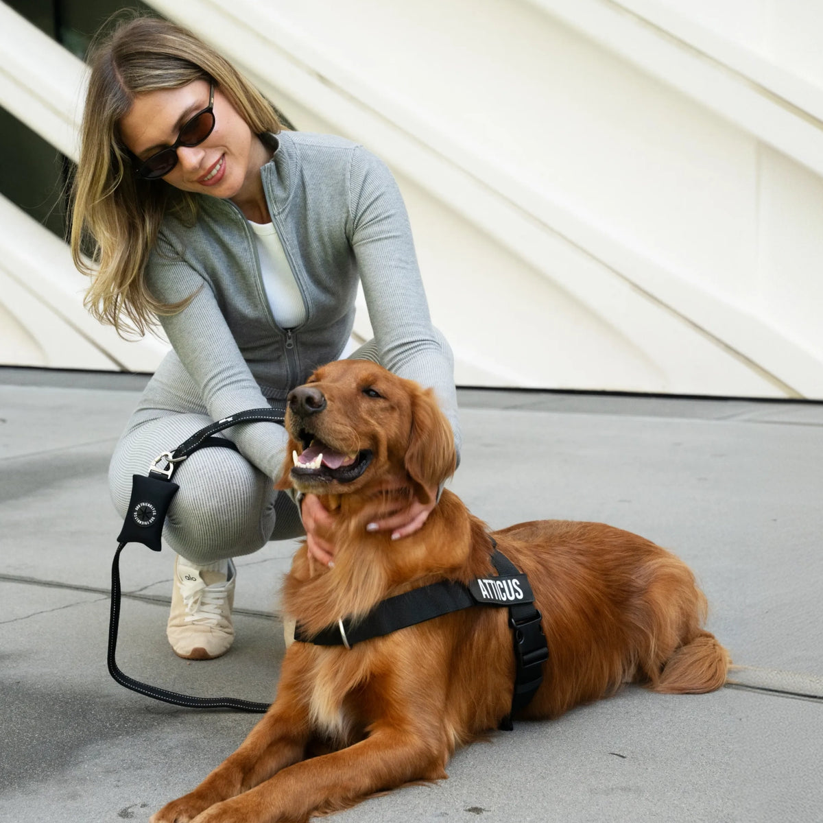 Bungee Dog Leash - Black