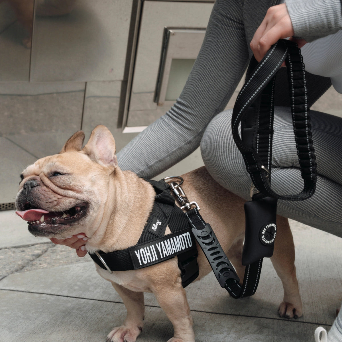 Bungee Dog Leash - Black