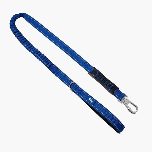 Bungee Dog Leash - Classic Blue