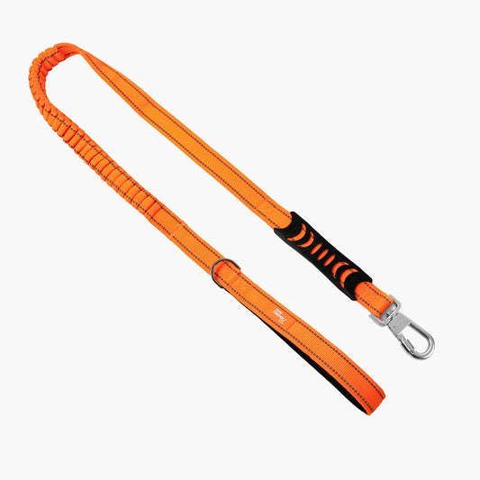 Bungee Dog Leash - Hi-Vis Orange
