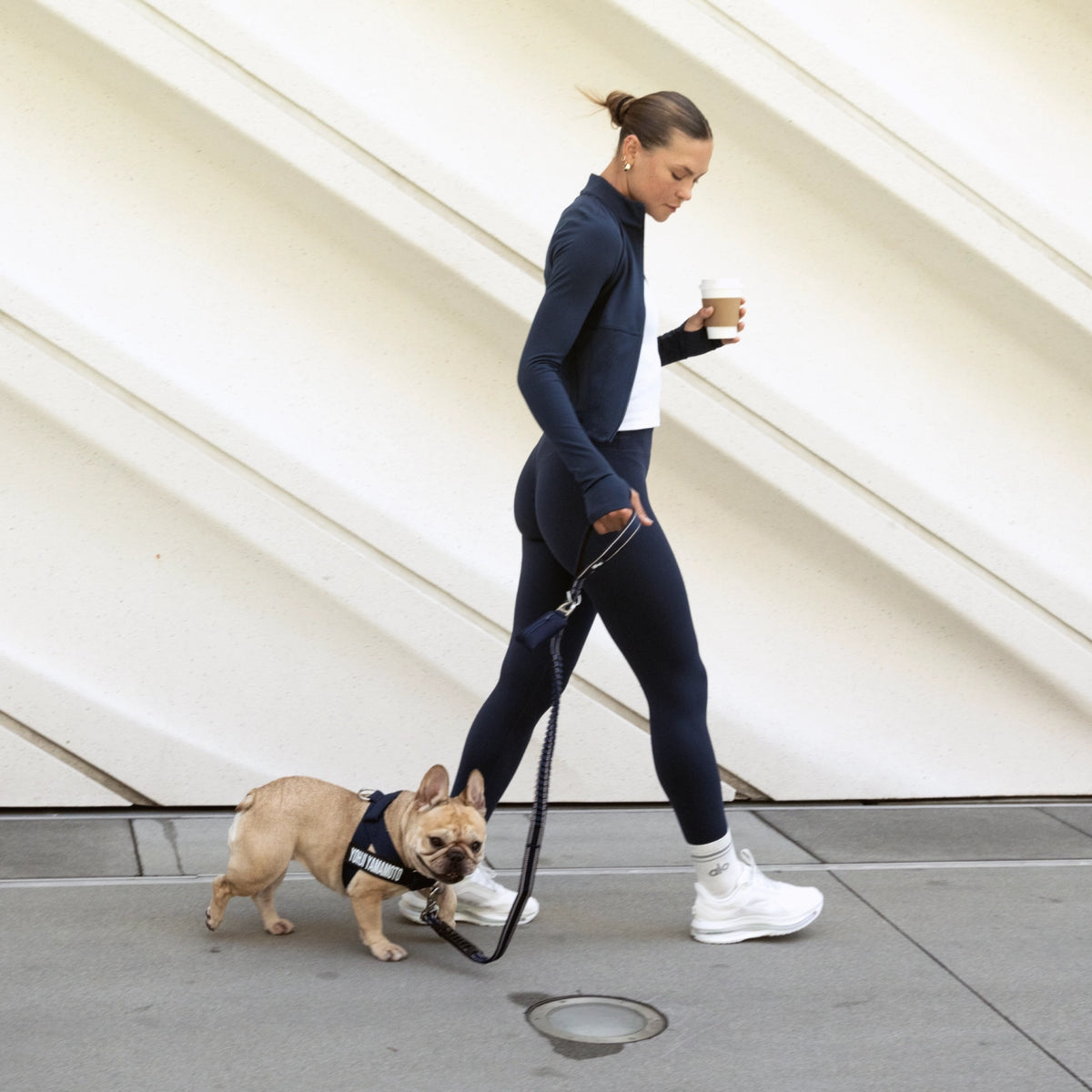 Dog wearing the full navy blue kit with the premium navy blue bungee dog leash with padded handle, heavy-duty clip and metal D-ring.