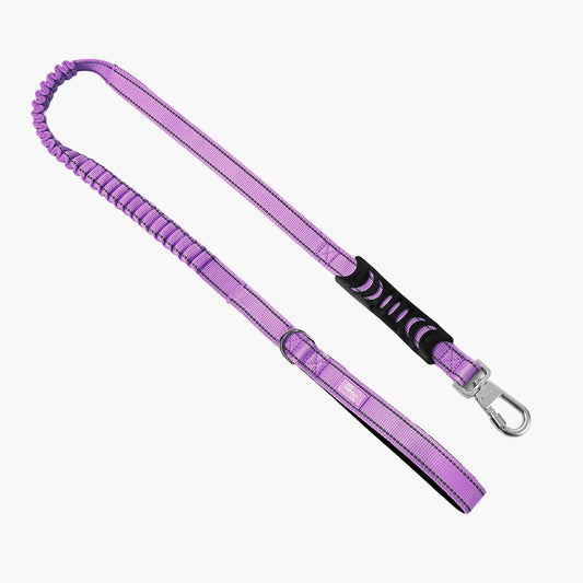 Bungee Dog Leash - Purple