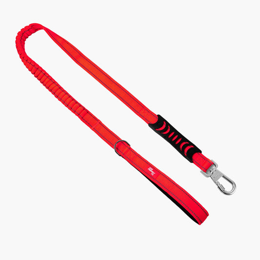 Bungee Dog Leash - Red