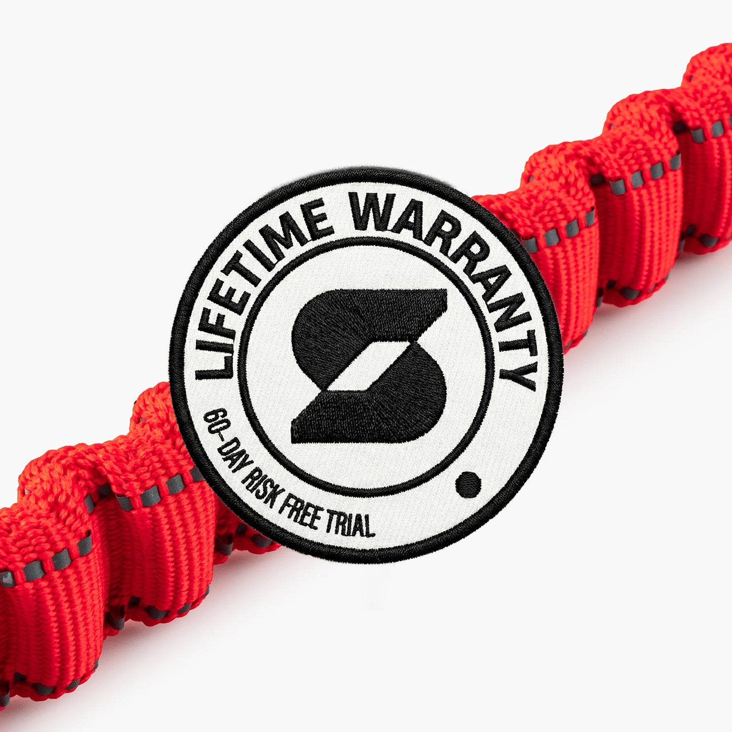 Bungee Dog Leash - Red