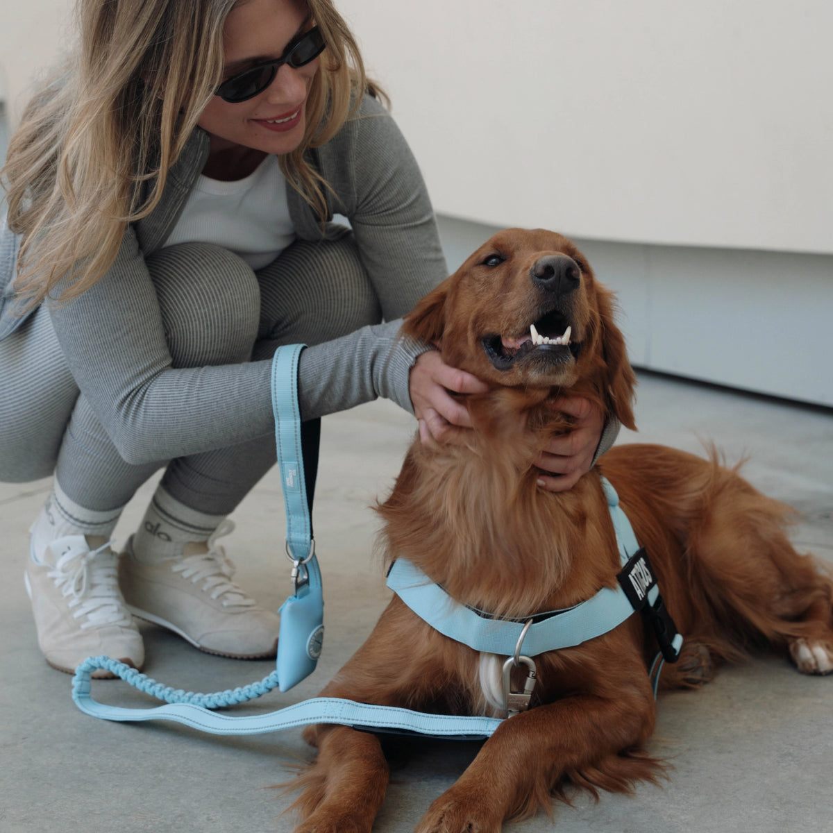 Bungee Dog Leash - Sky Blue