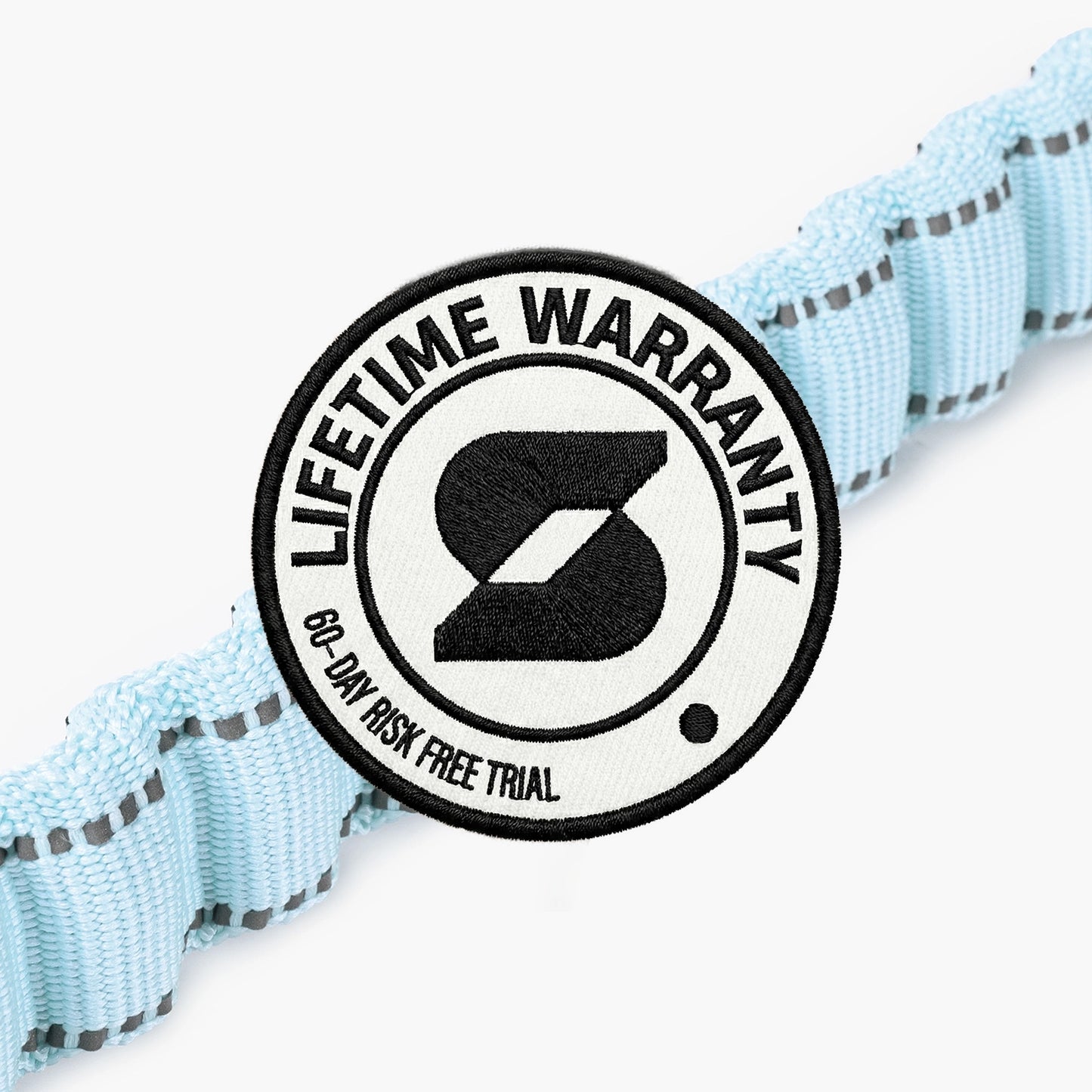 Bungee Dog Leash - Sky Blue