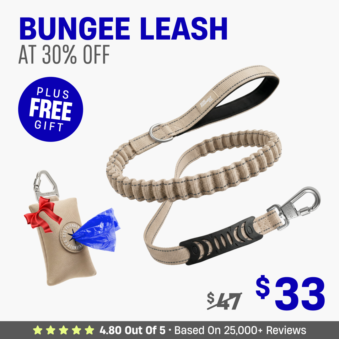Get Leash at 30% OFF + FREE Poop Bag Holder