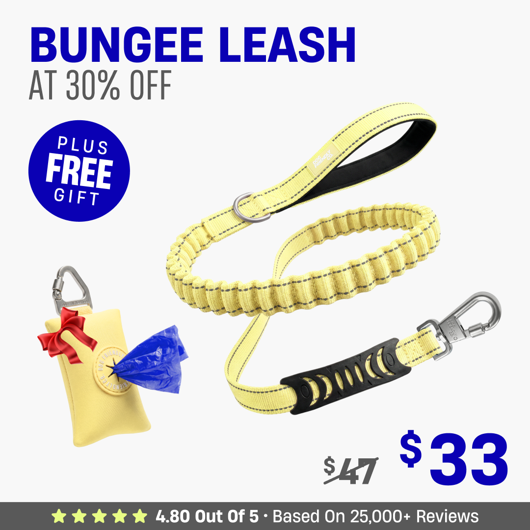 Get Leash at 30% OFF + FREE Poop Bag Holder